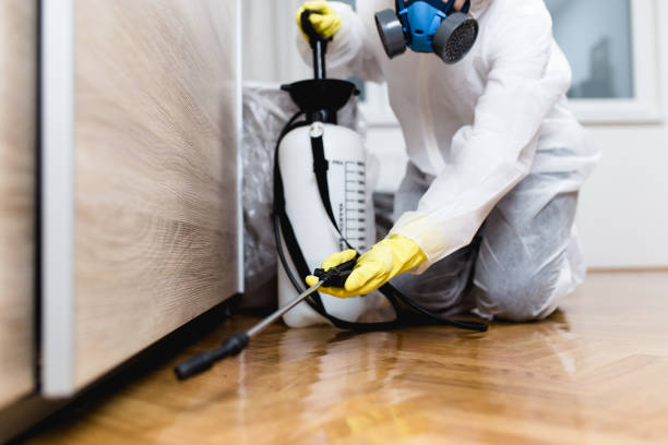 Best Best Pest Control Companies  in Golden Hills, CA