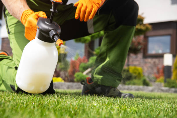 Best Spider Control Near Me  in Golden Hills, CA