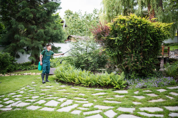 Best Pest Prevention Services  in Golden Hills, CA