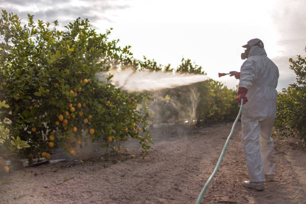  Golden Hills, CA Pest Control Pros