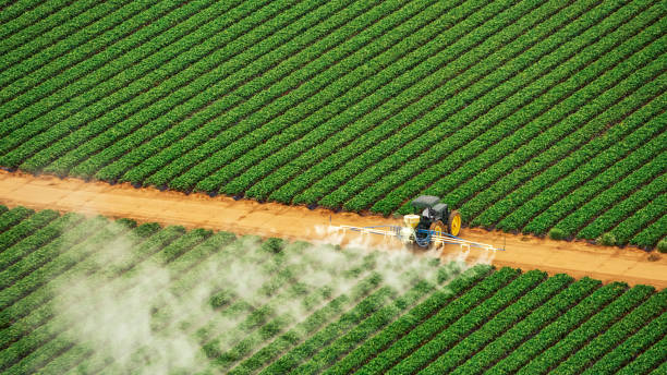 Best Commercial Pest Control Services  in Golden Hills, CA