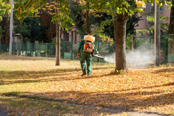 Best Pest Removal Services  in Golden Hills, CA